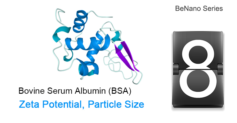 BSA Solution, Size, Zeta Potential, Stability evaluation